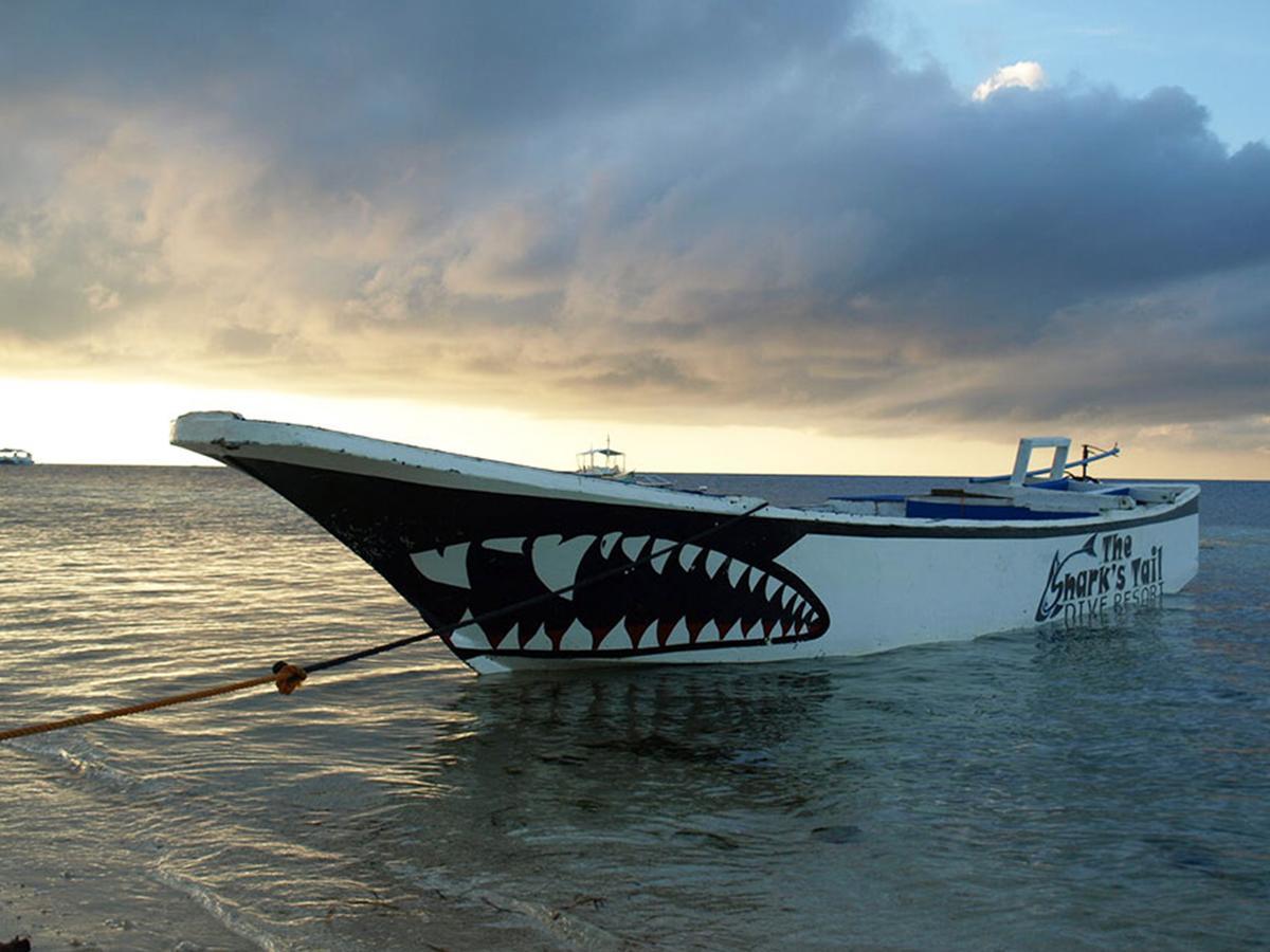 Отель The Shark'S Tail Dive Center Daanbantayan Экстерьер фото